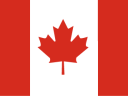 CAD flag